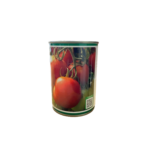 semence de tomate, variété cobra 26